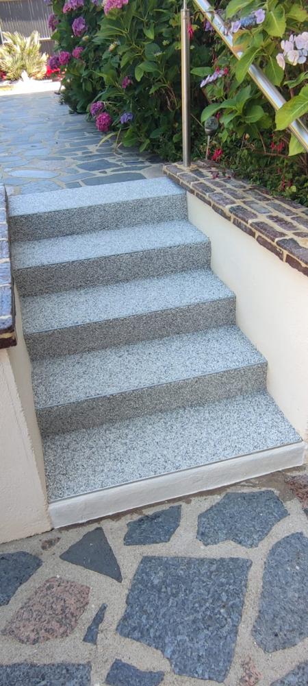 Quelques marches extérieures menant à une terrasse, revêtues de granulat de marbre.