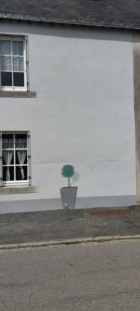 Peinture murale en trompe-l'œil représentant un arbuste vert dans un pot gris.