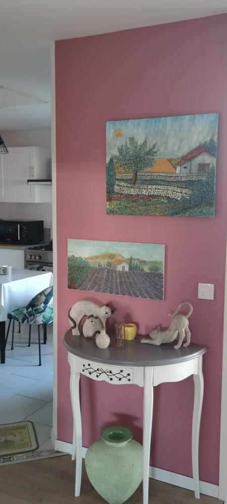 Zoom sur un mur rose framboise décoré de deux peintures de paysages provençaux et d'une console blanche avec des figurines de chats.