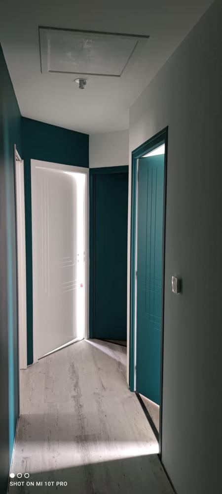 Couloir moderne avec murs bicolores vert canard et gris, portes blanches et sol stratifié