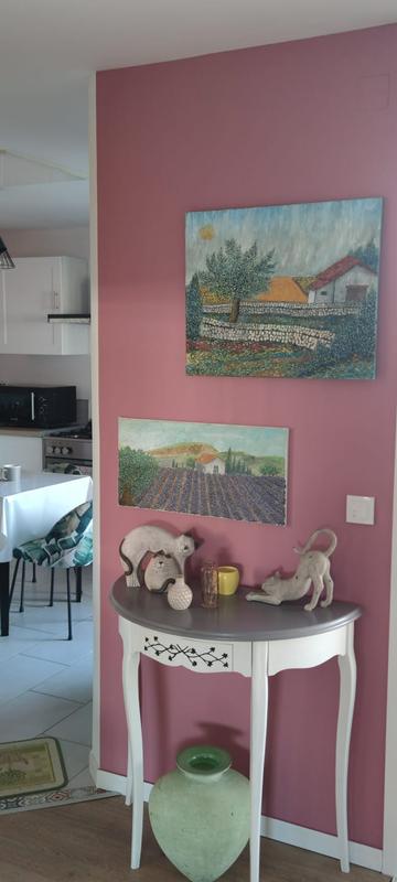 Zoom sur un mur rose framboise décoré de deux peintures de paysages provençaux et d'une console blanche avec des figurines de chats.